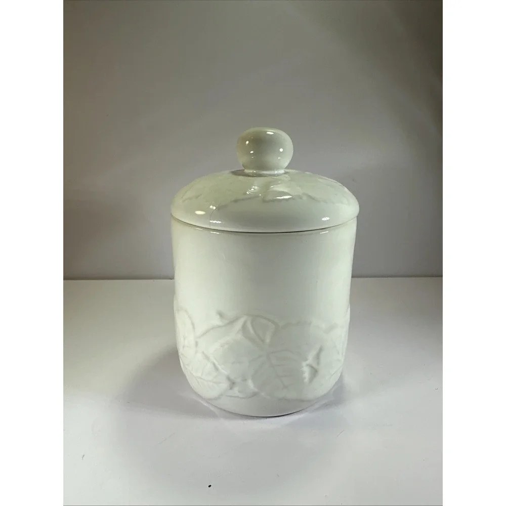 Pier 1 Imports ✨Celadon Embossed Leaf Pattern‎ Canister 5.25